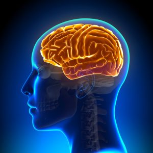 neuropsych evaluation