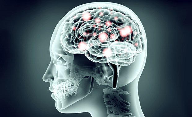 School Clinical and Neuropsychologists